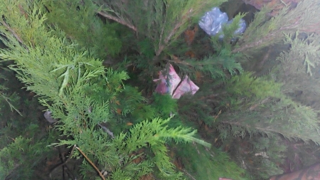 В Кременчуге бывший заключенный ограбил киоск чтобы достать деньги на билет домой