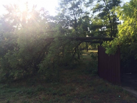 Повалені дерева та пориви дротів – негода пройшлася дитячими таборами під Кременчуком 