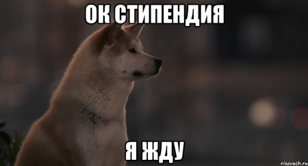 З 2017-го року більшість студентів ризикують лишитися стипендії З 2017-го року більшість студентів ризикують лишитися стипендії