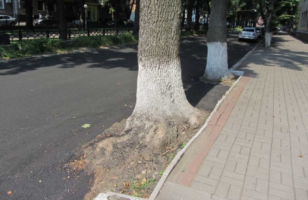 Полтавские дорожники настолько суровы… Полтавские дорожники настолько суровы…