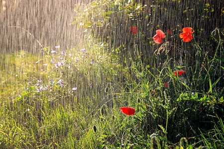 Самый точный прогнозЪ: на праздники ждём небольшой дождик