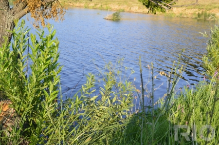 На Полтавщині поліція розшукала зниклу дитину, але на жаль мертвою