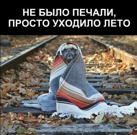 Не было печали, просто уходило лето: как соцсети прощаются с летом Не было печали, просто уходило лето: как соцсети прощаются с летом