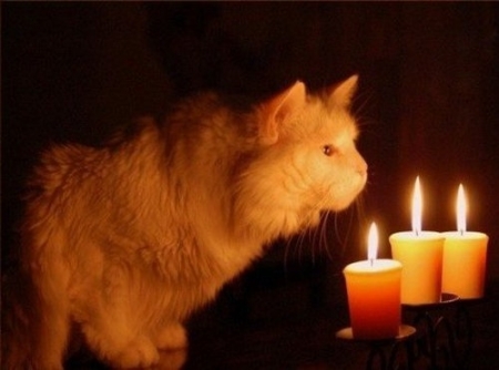 2 вересня у Кременчуці без електрики залишиться 4-та лікарня та частина Молодіжного 2 вересня у Кременчуці без електрики залишиться 4-та лікарня та частина Молодіжного