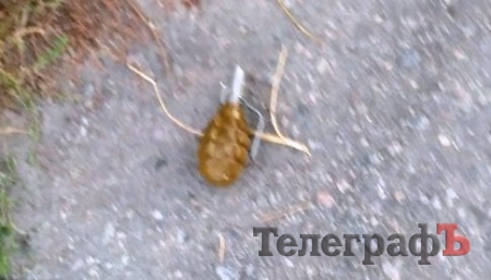 Под Кременчугом граждане ловили бывшего заключенного с гранатой