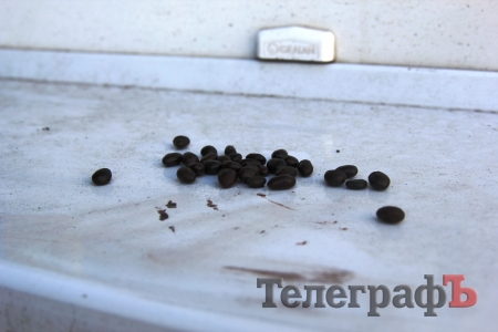 У депутата горсовета Оксаны Пиддубной из офиса украли ноутбук и оставили конфеты