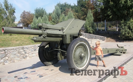 Осы «обзавелись пушкой» и ждут кременчужан в Парке Мира