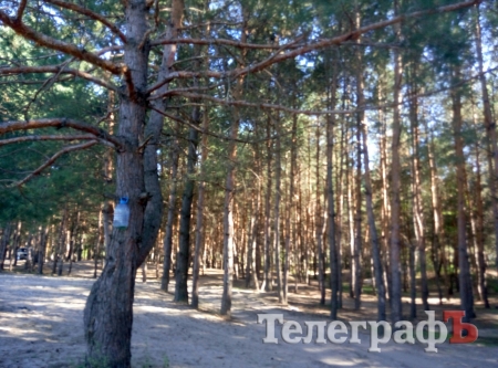 Поездка выходного дня: Голубое озеро