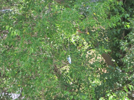 На выходных ГСЧСники спасали кременчужан от... утюга