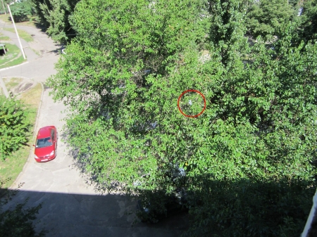 На выходных ГСЧСники спасали кременчужан от... утюга