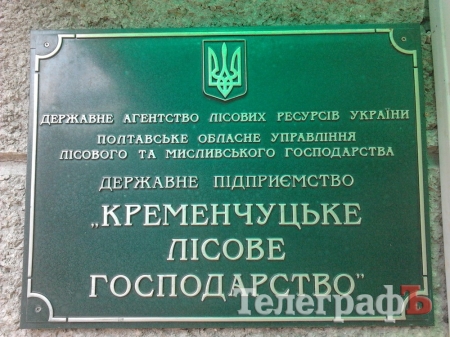 Ничёссеее отметили день лесника!