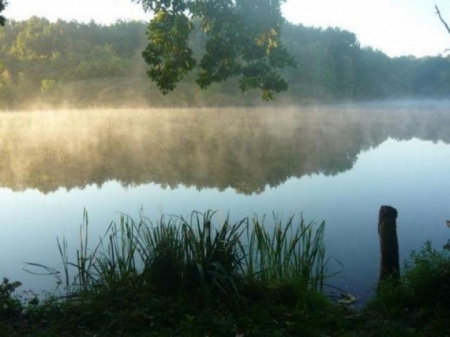 17 вересня. Велосипедистів Кременчука кличуть у мандрівку до Чорного озера в Чорному лісі
