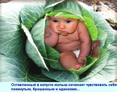 «Санта-Барбара» по-кременчуцьки: дідусь 3 місяці не міг зареєструвати онука