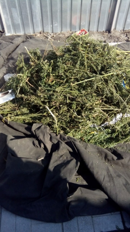 На Полтавщине полиция задержала банду наркоторговцев, который работали на несколько областей