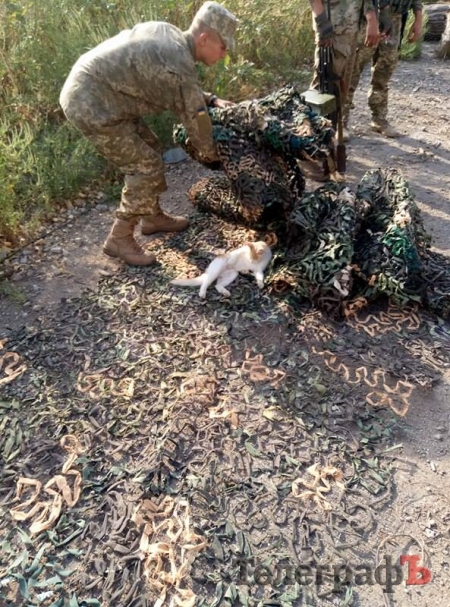 Смаколики, авто та масксітки: волонтери передали морпіхам у Широкине допомогу від кременчужан