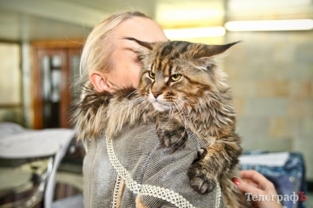 Кременчуг по-богатому и без копейки денег