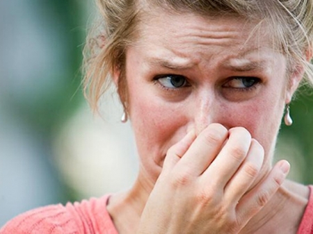 Кременчужане жалуются на антисанитарию в доме из-за большого количества собак по соседству