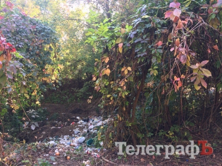 В Кременчуге в романтическом месте планируют сделать свалку для опалых листьев