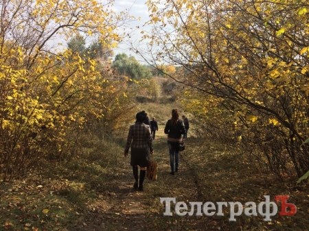 В Кременчуге в романтическом месте планируют сделать свалку для опалых листьев