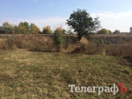 В Кременчуге в романтическом месте планируют сделать свалку для опалых листьев