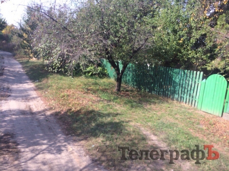 В Кременчуге в романтическом месте планируют сделать свалку для опалых листьев