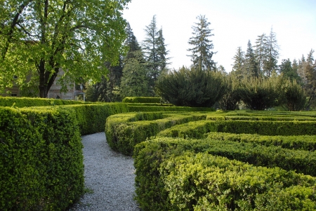 Как лабиринт Минотавра, только для детей: новое пожелание кременчужан