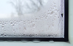 Почему они плачут?