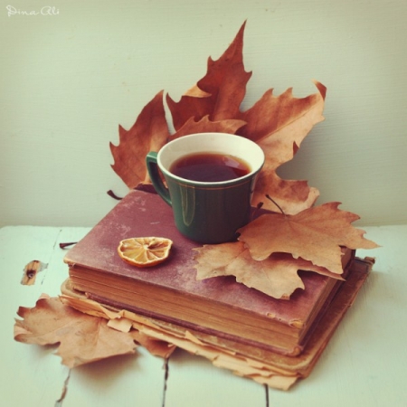 Таємниче послання, древні цивілізації та опера: що новенького кременчужанам почитати на вихідних