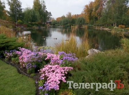 Тіньовий музей, або Межигір’я сьогодні