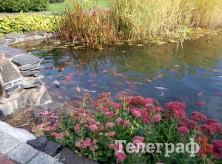 Тіньовий музей, або Межигір’я сьогодні