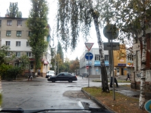 Погладь оленя против шерсти