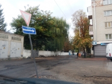 Погладь оленя против шерсти