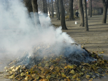 Сосед жжёт мусор? Вызовите полицию – ему выпишут штраф Сосед жжёт мусор? Вызовите полицию – ему выпишут штраф