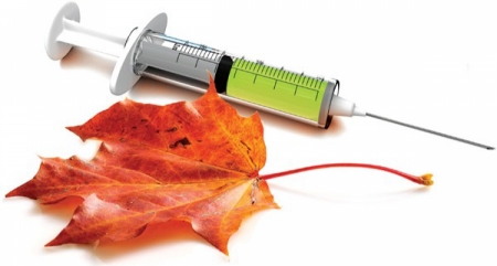 В Кременчуге бюджетников на следующей неделе вакцинируют от гриппа