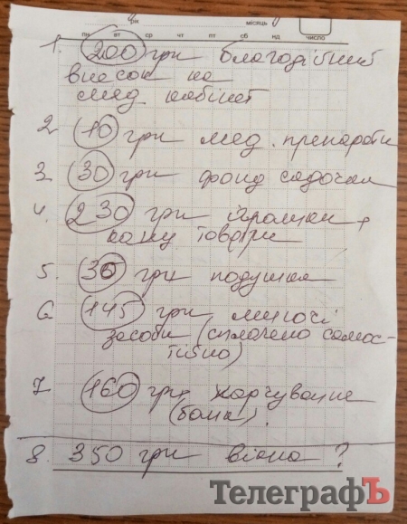 Комунальні феї: вони допомагають кременчужанам вирішувати побутові проблеми