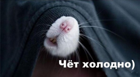 В тепле не все: кременчужане жалуются на проблемы с отоплением