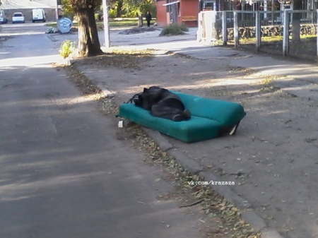 ФОТОФАКТ: Хостел под открытым небом по-кременчугски