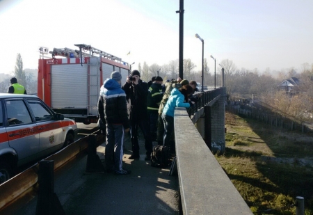 Кременчужане на мосту спасали котёнка: с полицией и АТОшниками