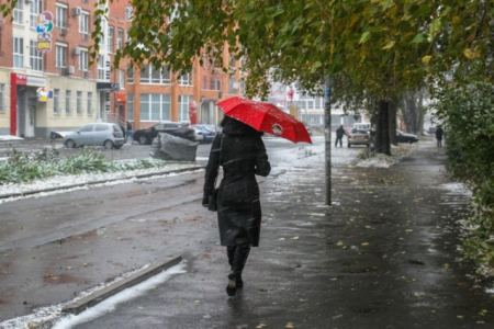 На Полтавщині випав перший сніг На Полтавщині випав перший сніг