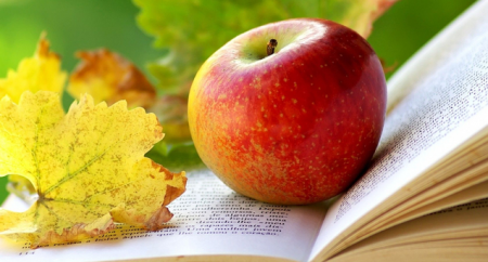 Історії кохання та зниклі шахтарі: що новенького кременчужанам почитати на вихідних