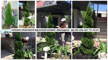 Оголошується набір на курси ландшафтного дизайну