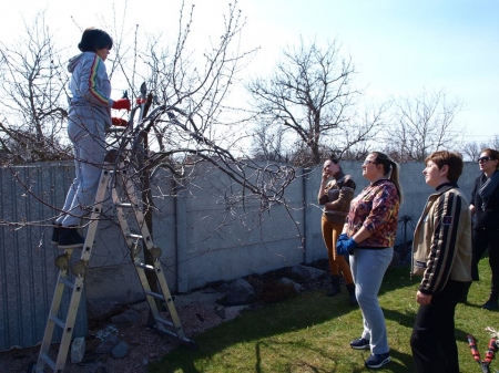 Оголошується набір на курси ландшафтного дизайну