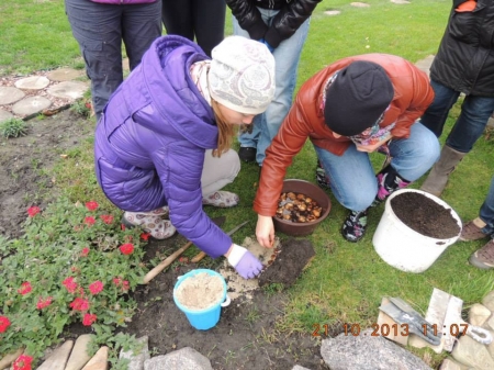 Оголошується набір на курси ландшафтного дизайну
