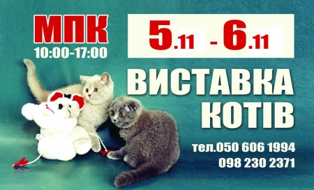 5 и 6 ноября в Кременчуге состоится Выставка элитных пород кошек