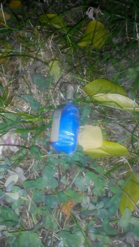 В Кременчуге на Молодежном нашли муляж гранаты