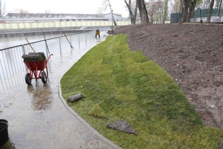 Вокруг озера в Городском саду Кременчуга постелили рулонный газон
