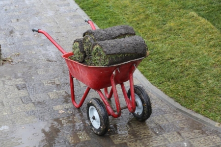 Вокруг озера в Городском саду Кременчуга постелили рулонный газон