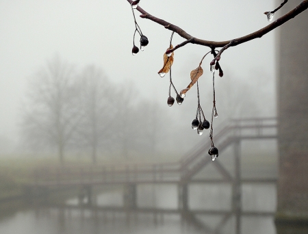 На Кременчуг надвигаются туман, дожди и грозы