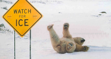 К Кременчугу приближается дождь с мокрым снегом и гололедица