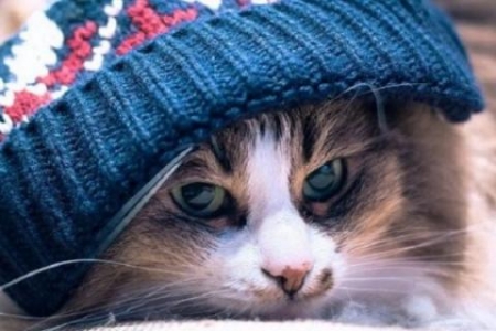 Перед вікендом у Кременчуці трохи потеплішало